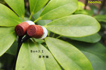  hoomia好米亞熱銷商品 Bon3.1原木機重新上線