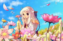 《萌萌彩虹島 Online》全新彩虹大躍進版本　27日可愛冒險啟動！