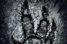 《惡靈進化》上市日期確定：獵殺行動將於2014年10月21日展開