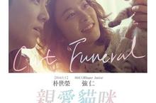 電影《親愛貓咪》一隻貓 一對分手戀人 一段最溫暖療癒的旅程