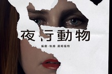 【夜行動物】編導湯姆福欽點艾美亞當斯當主角 演技備受考驗