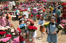 魏德聖新片《52赫茲我愛你》全部來真的!「花很大、花很多」慘變黑名單