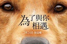 【揪in啦】問本汪轉世投胎的意義？就是《為了與你相遇》啦！電影贈票開跑~