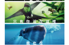 《大佛普拉斯》啊堯導演化身地球導遊 躍登「葛洛伯」