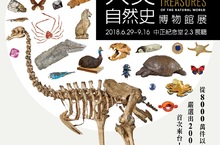 大英自然史博物館展首度登台 8000萬件館內收藏 嚴選227件珍品展出 預售票220元限時優惠中