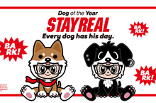 萌犬來報到，好運成雙來！STAYREAL 2018限定【汪汪小鼠】1/19暖心登場