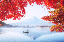 楓葉交織的秋天，來日本河口湖開著敞篷車望著富士山帥氣兜風！  金彩秋楓，開敞篷車環遊富士山賞楓