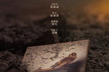 普立茲獎小說改編  眾多好萊塢巨星合演【金翅雀】  安索艾格特、妮可基嫚、路克威爾森、莎拉保羅森 一段被偷走的人生故事 