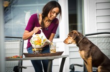 楊丞琳善助公益 現身【為了與你相聚】首映　 愛犬逃家失蹤關電梯 楊丞琳先驚後喜與YUMI開心相聚  上百隻狗兒齊聚體驗看電影 首映義演所得贈台灣狗醫生協會