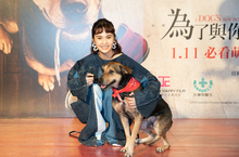 楊丞琳善助公益 現身【為了與你相聚】首映　 愛犬逃家失蹤關電梯 楊丞琳先驚後喜與YUMI開心相聚  