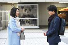 撩妹高手對決純情暖男 《一定要結婚嗎》日兩大男星較勁  田中圭太會撩 中村倫也呼籲女性小心別愛上他