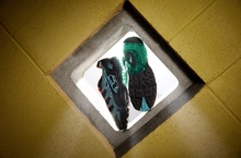 PUMA CELL氣室美學 外來入侵 街頭異形潮履 CELL Alien KOTTO  怪美潮流時尚當道