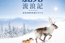 化身間諜馴鹿？耗時五年準備《鹿兒流浪記》完整記錄野生馴鹿遷徙生態！