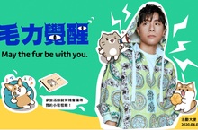抗疫在家 毛力覺醒！KKBOX 推出專屬毛小孩企劃 貓奴必聽！KKBOX與貓咪醫生林子軒共同打造「舒緩」與「遊戲」歌單