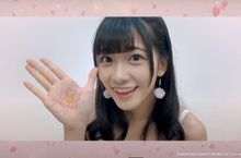 以東京AKB48為首 連線集結來自各地AKB48姊妹團  包括JKT48、BNK48、MNL48、AKB48 Team SH、SGO48、AKB48 Team TP、CGM48等 音樂祭首度以線上形式呈現