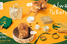 Always Together 就愛宅在一起 STAYREAL全新寵物企劃登場！打造毛寶貝的幸福生活