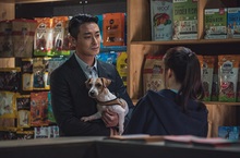 朱智勛睽違4年大銀幕動作鉅獻《紳探追緝令》1月6日 紳不由己