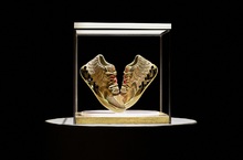 PUMA MB.01 Golden Child 黃金戰靴 11 月 25 日 (六) 同步全球限量開賣