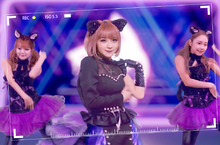 《貓之城》X GARNiDELiA合作印象曲上線 來聽聽貓貓的獨佔宣言吧