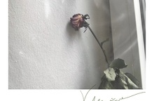 華語樂壇新星－祝梓2024年全新單曲〈Valentine〉於各大數位音樂平台全面發行