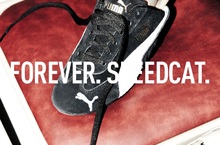 賽車時尚席捲全球 韓國人氣大勢單品 PUMA【SPEEDCAT OG】上市