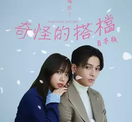 爆紅韓劇改編！浪漫喜劇《奇怪的搭檔》（日本版）定檔5月14日獨家登陸Disney+