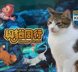 《與貓同行 Always With You》品牌大使「KINOKO」正式亮相！真貓登場萌翻全場，玩家回饋助力遊戲DEMO全面升級！