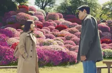 直木賞小說改編 【花便當的記憶】奇想故事感動登上大銀幕 直木賞小說改編 【花便當的記憶】奇想故事感動登上大銀幕