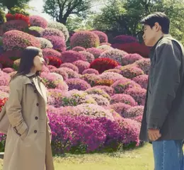 直木賞小說改編 【花便當的記憶】奇想故事感動登上大銀幕