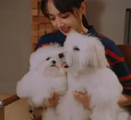 「華語流行天后」JOLIN 蔡依林相隔六年的全新專輯《Pleasure》已於全球各大數位音樂平台同步發行