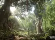 NEXON Games全新3A大作《Woochi the Wayfarer》 預告影片首度曝光