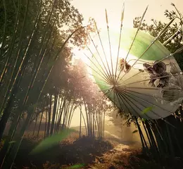 武俠開放世界ARPG《燕雲十六聲》 公布武俠戰鬥設計理念與賽季更新計畫