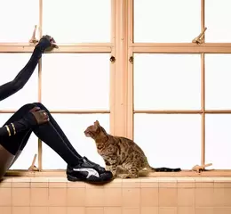 回到哈林區爵士文藝復興時期 A$AP ROCKY x PUMA 秋冬聯名系列 打造豹紋蛇皮交織的野性時尚