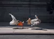 Play Your Way 時尚運動新篇章  FENTY x PUMA by Rihanna 玩出金屬系足球風