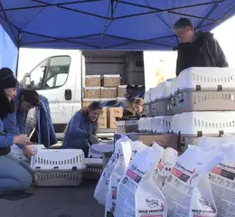 日本導演愛狗如命，深入烏克蘭戰場紀錄【戰火下的毛孩】危險處境 群眾募資開跑！導演山田茜明年一月訪台與台灣觀眾分享在烏克蘭的所見所聞