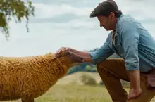 休傑克曼身陷令人發「毛」謀殺案 最可愛【綿羊偵探團】電影預告曝光