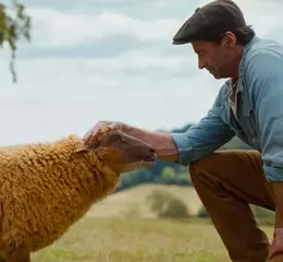 休傑克曼身陷令人發「毛」謀殺案 最可愛【綿羊偵探團】電影預告曝光