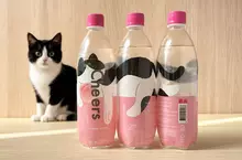 寵物萌經濟!? 熱貓、貓店長到Cheers氣泡水限定包裝！ 跟主子一起歡度貓之日！貓奴們必搶蒐集！