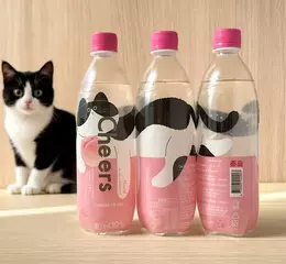 寵物萌經濟!? 熱貓、貓店長到Cheers氣泡水限定包裝！ 跟主子一起歡度貓之日！貓奴們必搶蒐集！