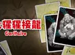 數位版單人大猩猩增殖卡牌遊戲 《大猩猩接龍》確定於3月19日（四）推出！
