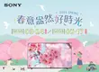Sony春季優惠限時登場 入手BRAVIA指定機種送近3萬元好禮