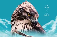 《老鷹想飛》票房名導新作  《飛吧！熊鷹》揭台灣最神秘猛禽面紗