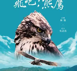 《老鷹想飛》票房名導新作  《飛吧！熊鷹》揭台灣最神秘猛禽面紗
