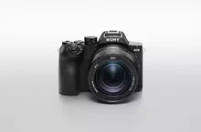 Sony 全新RX10 V登場 一機全能掌握日常、野生動物與運動攝影
