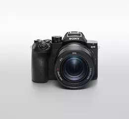 Sony 全新RX10 V登場 一機全能掌握日常、野生動物與運動攝影