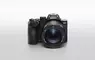 Sony 全新RX10 V登場 一機全能掌握日常、野生動物與運動攝影
