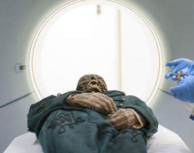 世界最大型千年木乃伊展(Mummies of the World)