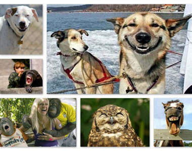 哈~哈哈 笑就對了啦!