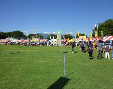 日本『B級美食』祭典！平民好滋味～