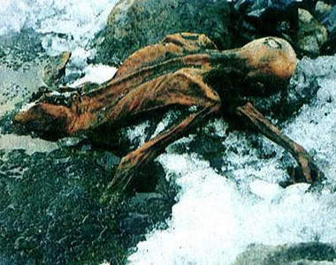 5千年雪山木乃伊 《冰人奧茲》的死亡詛咒 !!!